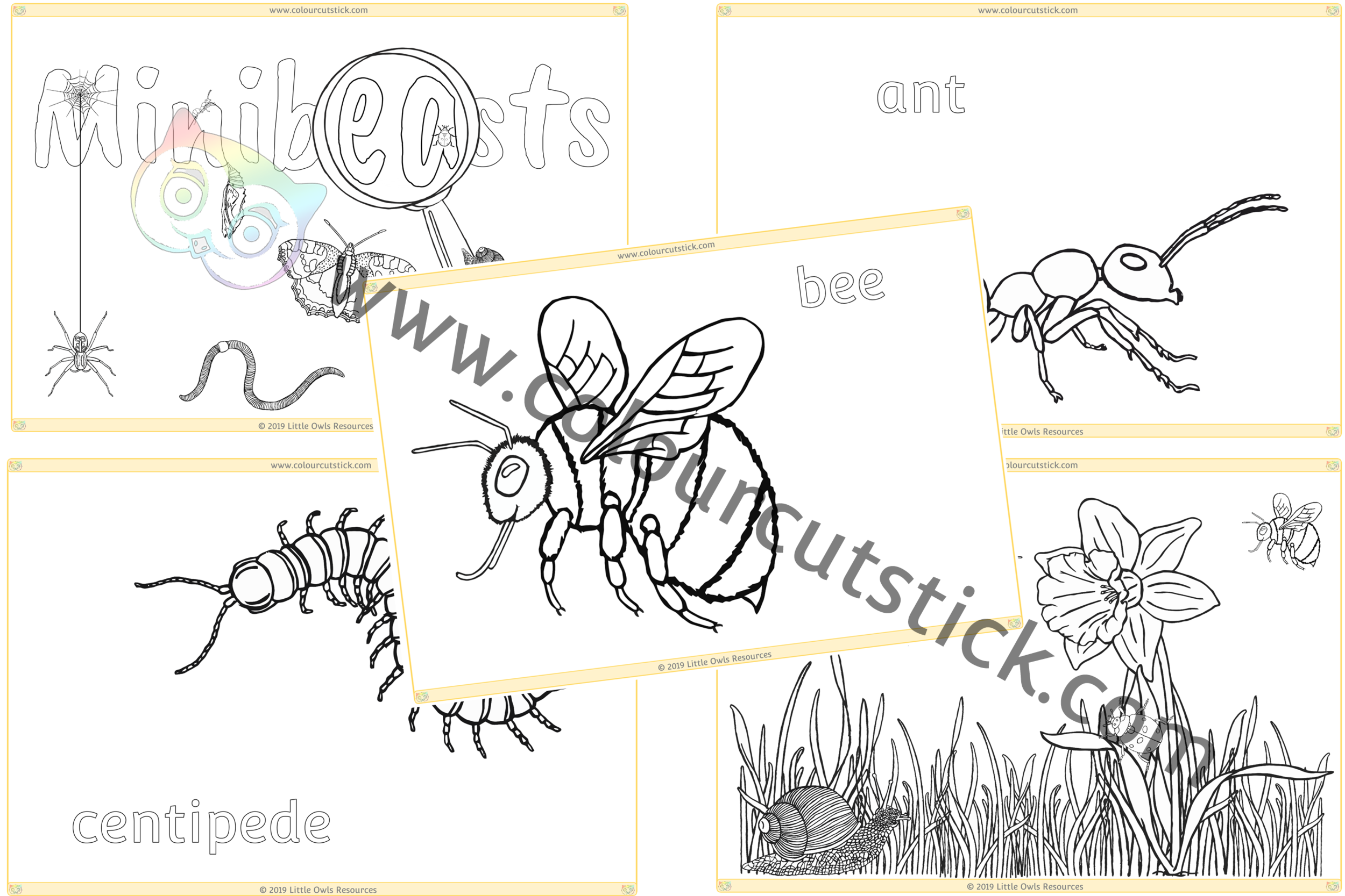 Free minibeasts colouringcoloring pages