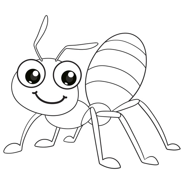 Ant line drawing images stock photos d objects vectors