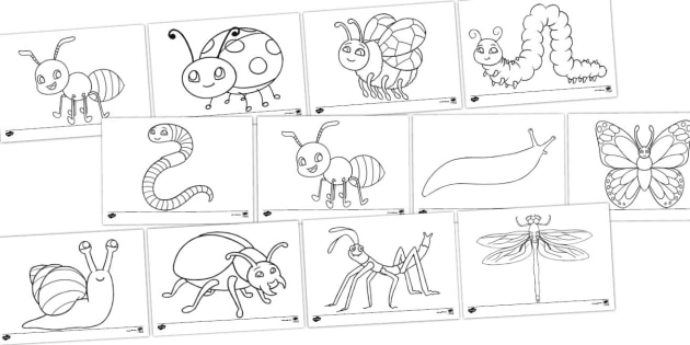 Minibeasts louring activity for minibeasts artists