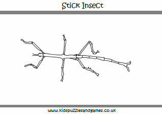 Stick insect louring page