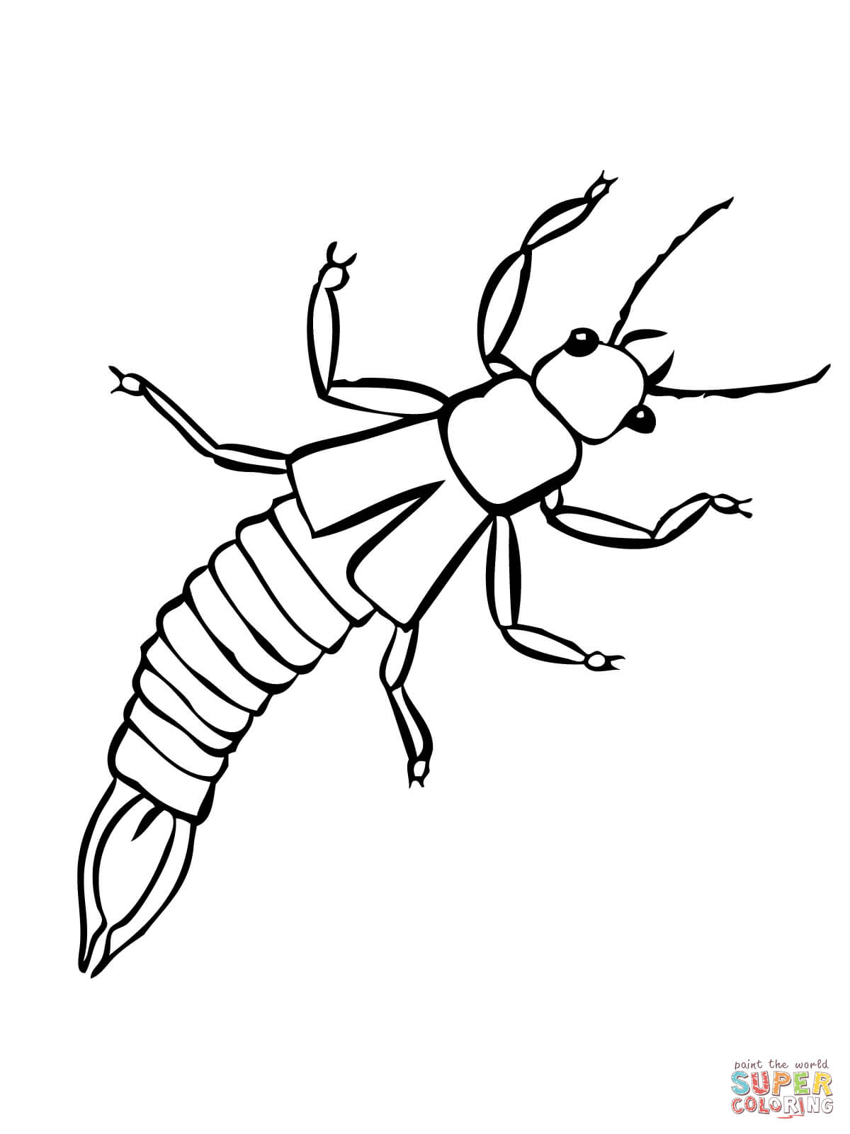 Earwig insect coloring page free printable coloring pages