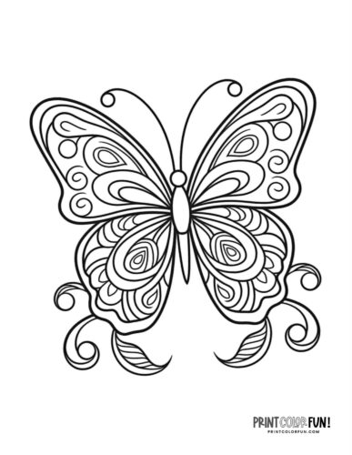 Butterfly coloring pages clipart collection with both easy plex designs at
