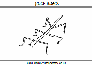 Stick insect basic louring page