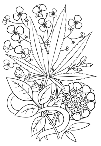Trippy weed coloring page free printable coloring pages
