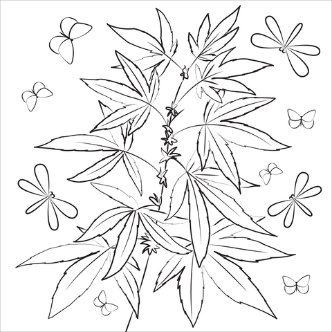 Marijuana coloring page free printable coloring pages