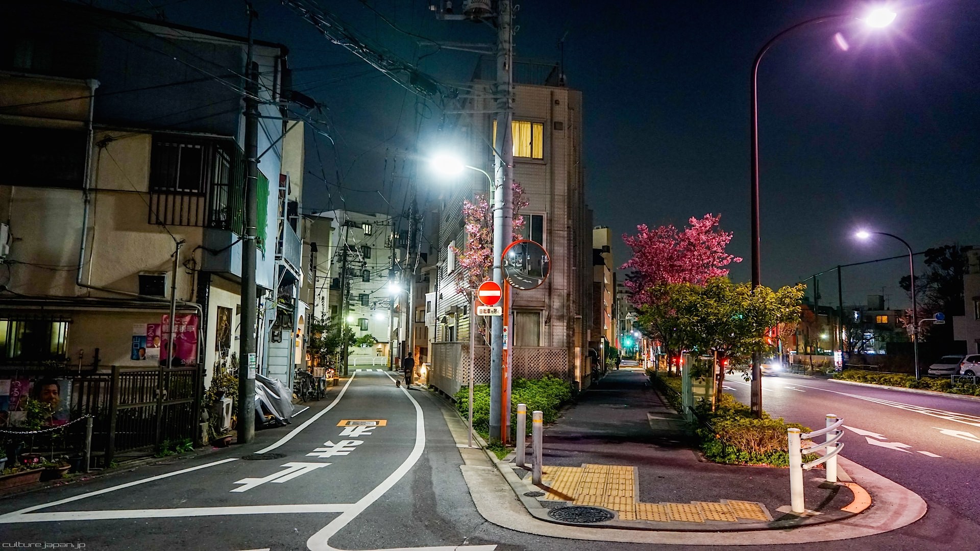 Cityscape street light road japan p k k hd wallpapers backgrounds free download rare gallery