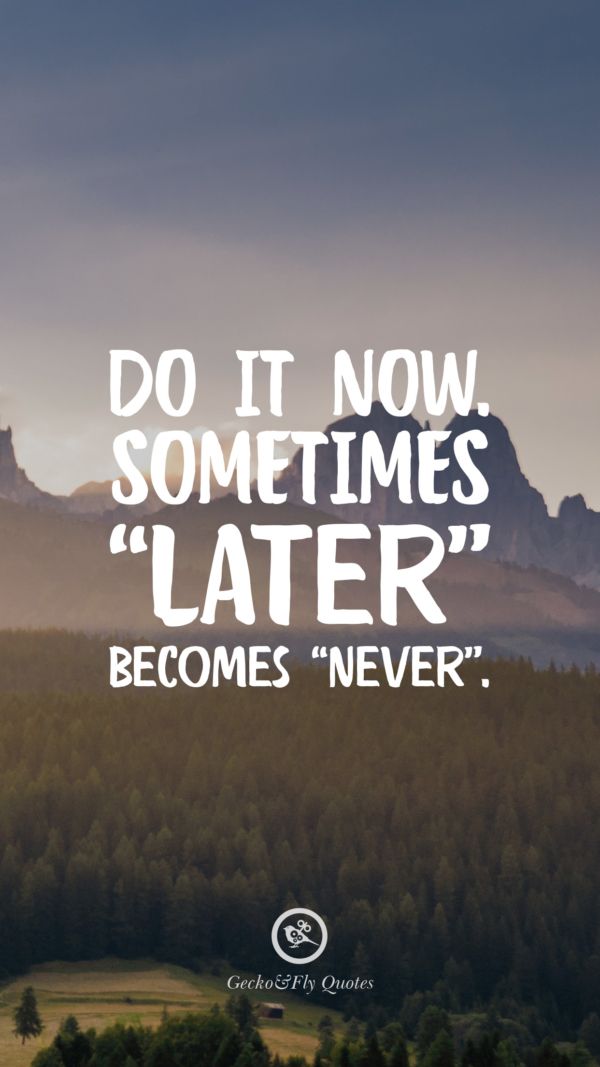 Do it now sometimes later bees never inspirational and motivational iphoneâ inspirational quotes hd hd wallpaper quotes inspirational quotes wallpapers