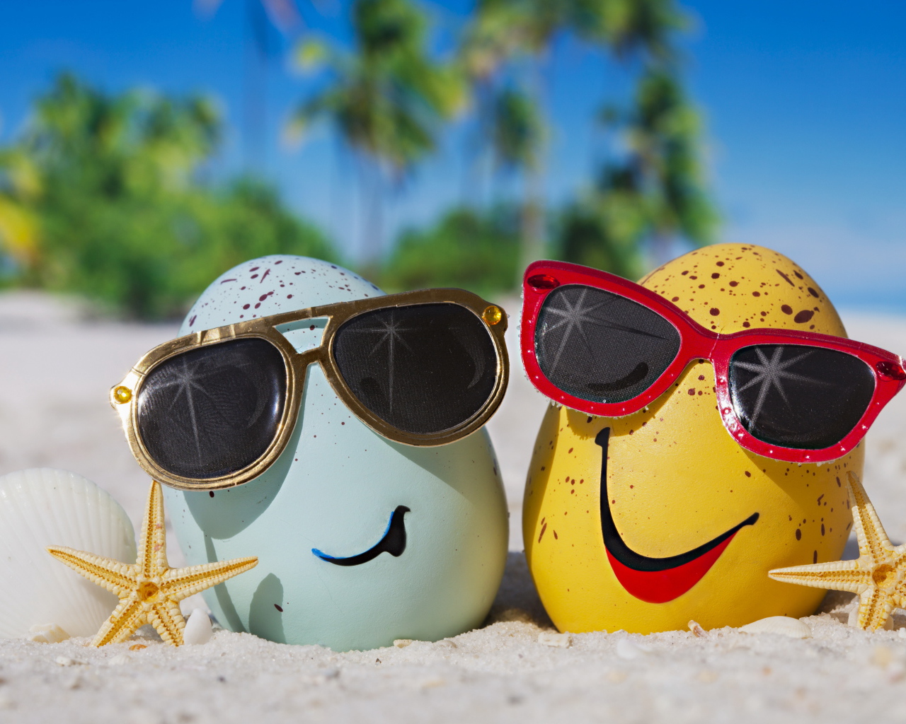 Two eggs in sunglasses on the sea sand in summer desktop wallpapers x