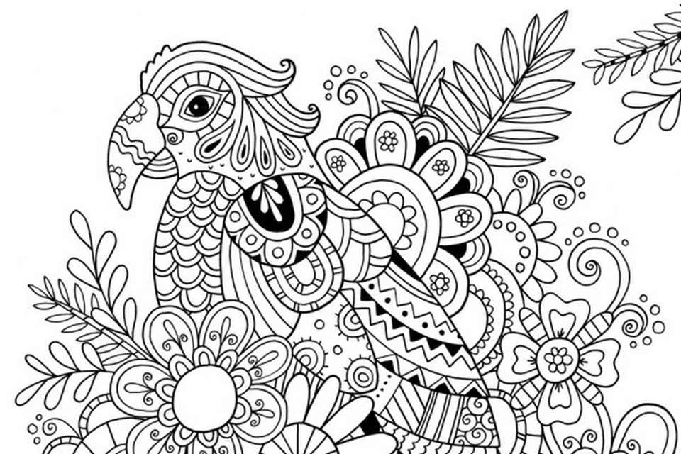 Free printable summer coloring pages for adults