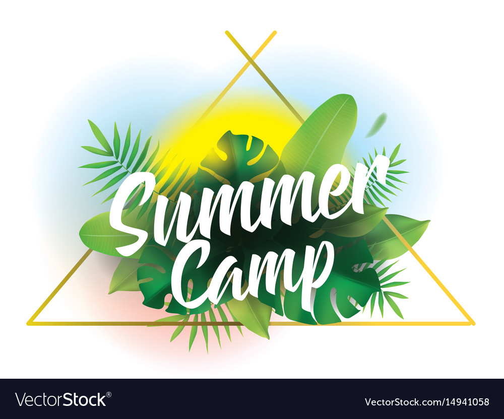 Summer camp background for posters royalty free vector image