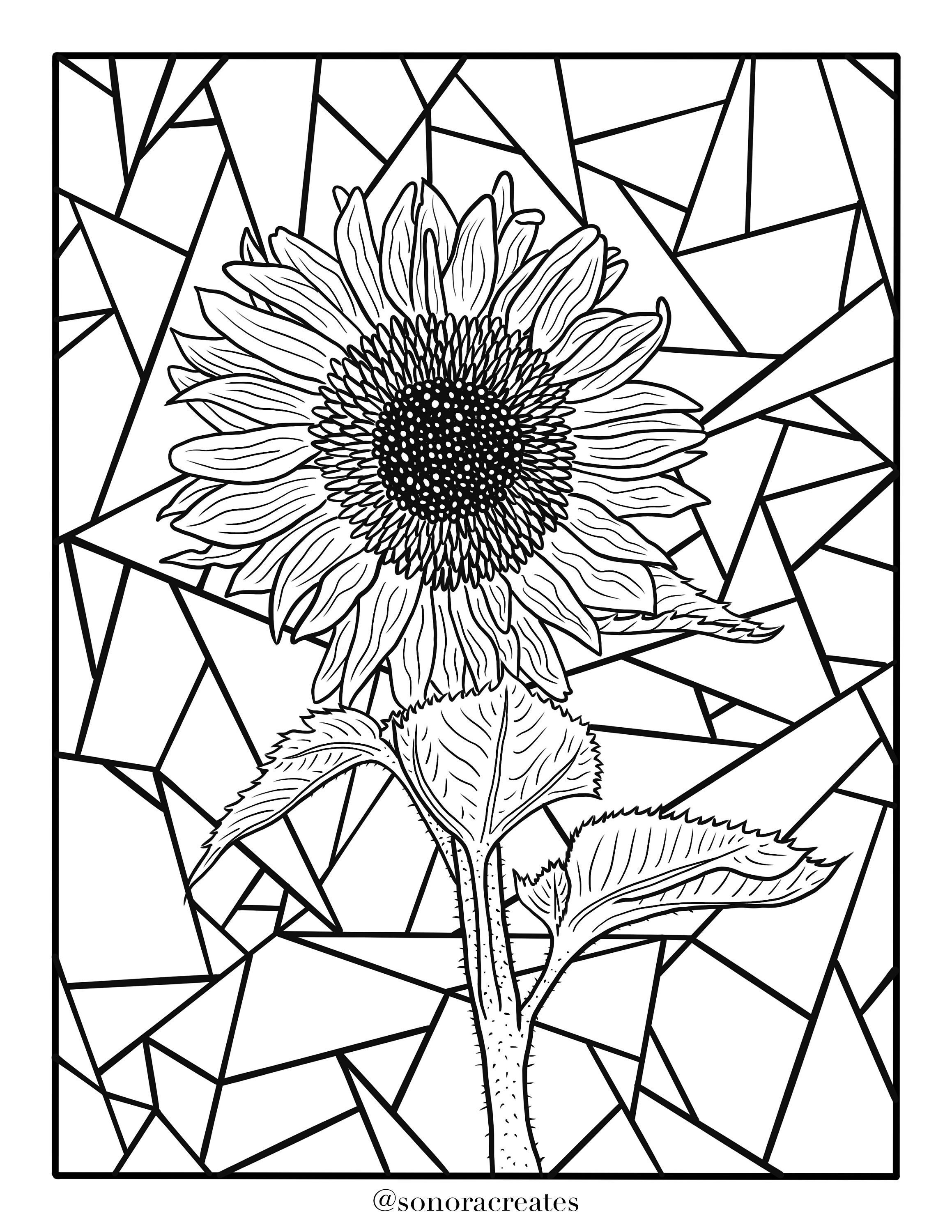Sunflower colouring page