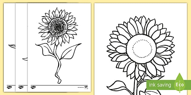 Sunflower template louring pages teacher made