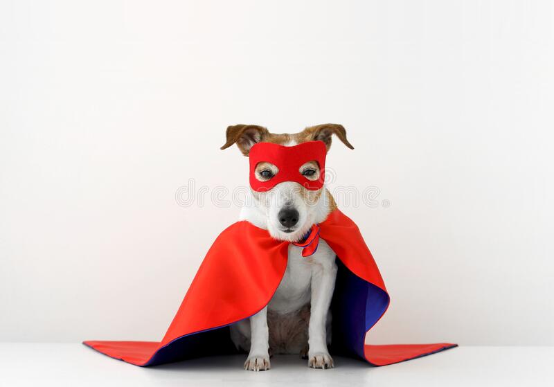 Superhero cape stock photos