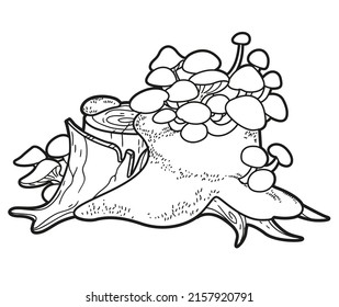 Sushi japanese food coloring pages a stock illustration