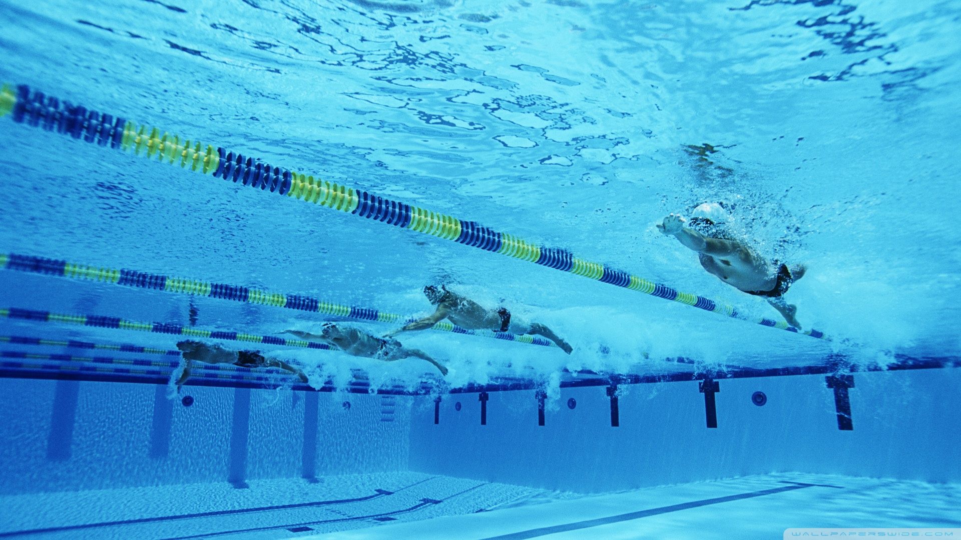 Swimmer desktop wallpapers