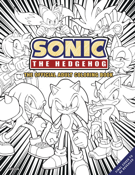 Sonic the hedgehog official coloring book â the ic book shoppe