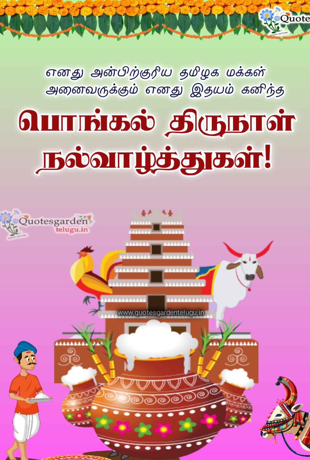 Pongal greetgs wishes images tamil quotes wallpapers quotes garden telugu telugu quotes english quotes hdi quotes