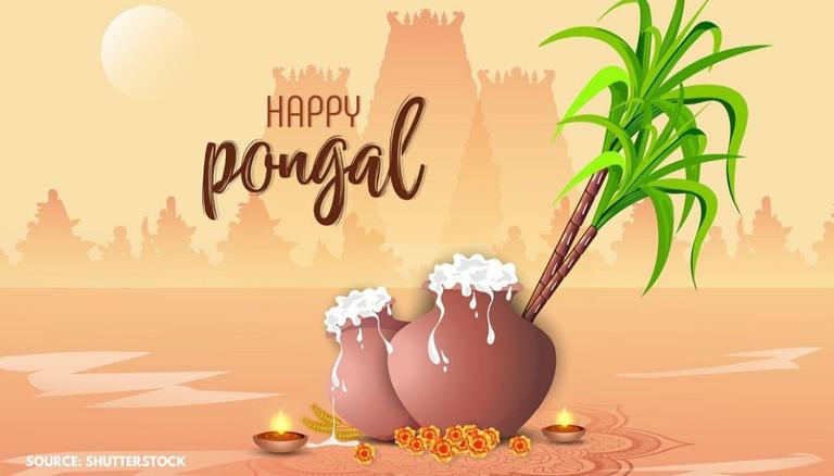 Thai pongal wishes quotes and images to share on this auspicious day festivals