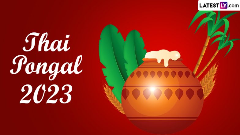 Happy thai pongal greetings and messages wishes facebook status pictures sms images and hd wallpapers to celebrate the harvest festival of tamil nadu ðð