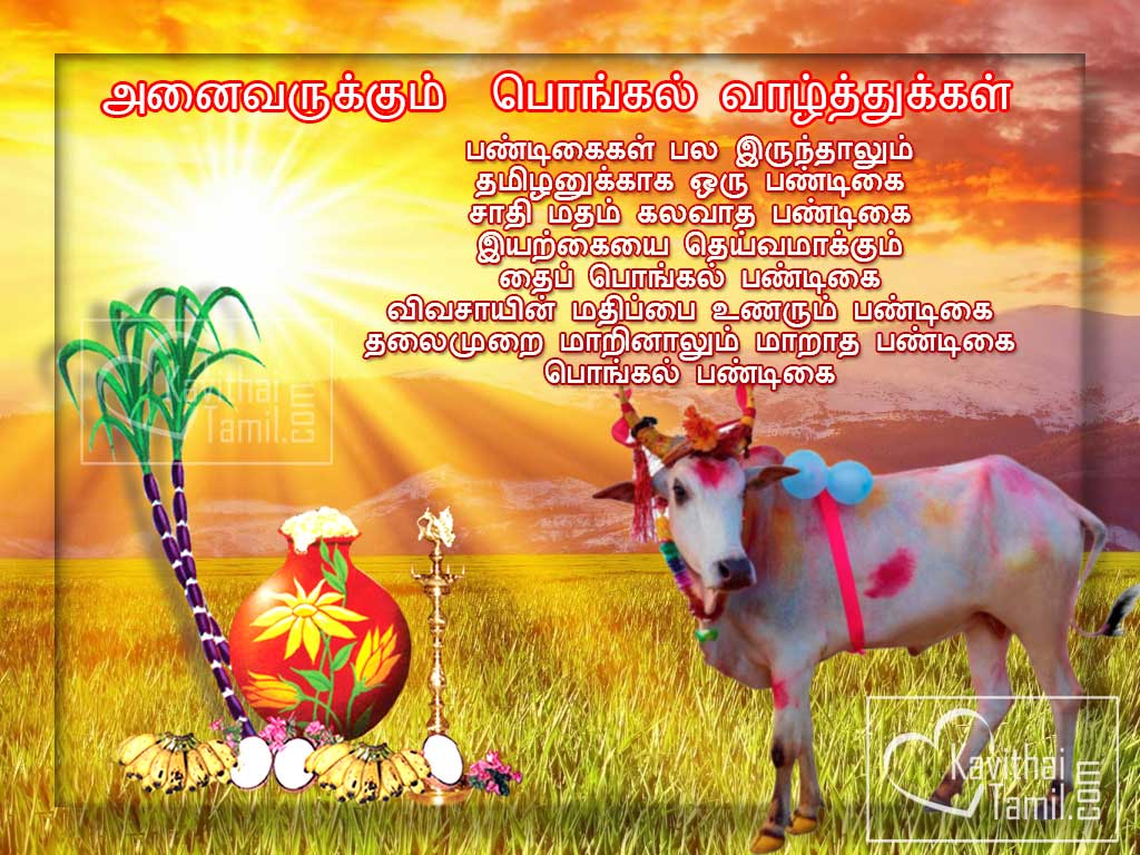 New hd wallpapers for pongal wishes