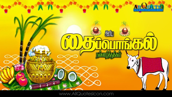 Tamil pongal valthukkal tamil pongal hd wallpapers