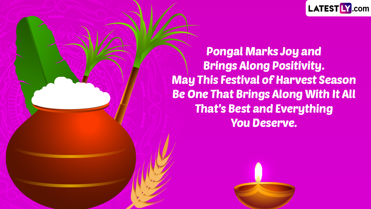 Happy pongal images thai pongal hd wallpapers for free download online send iniya pongal valthukkal messages greetings and sms to loved ones ðð