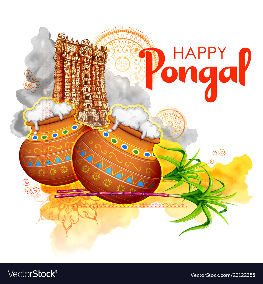 Happy pongal holiday harvest festival of tamil vector image
