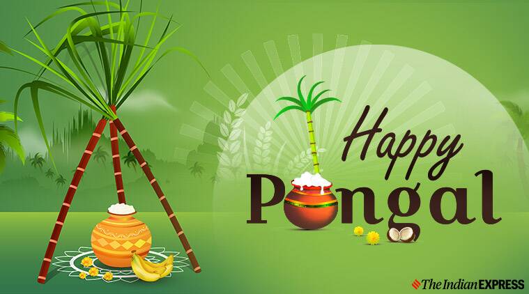 Happy pongal images wishes images quotes status sms messages hd wallpapers photos gif pics greetings download in tamil telugu