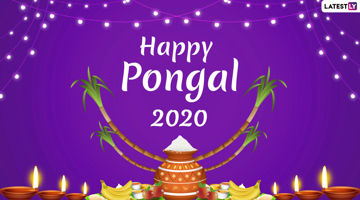 Happy thai pongal images and hd wallpapers for free download online wish on pongal with whatsapp messages gif greetings and sms on tamil harvest festival ðð