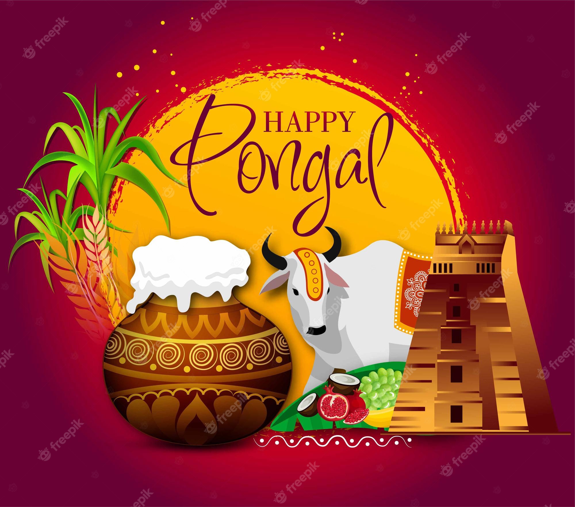 Tamil pongal images