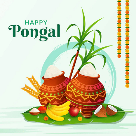 Pongal wallpaper images new happy pongal pictures photo