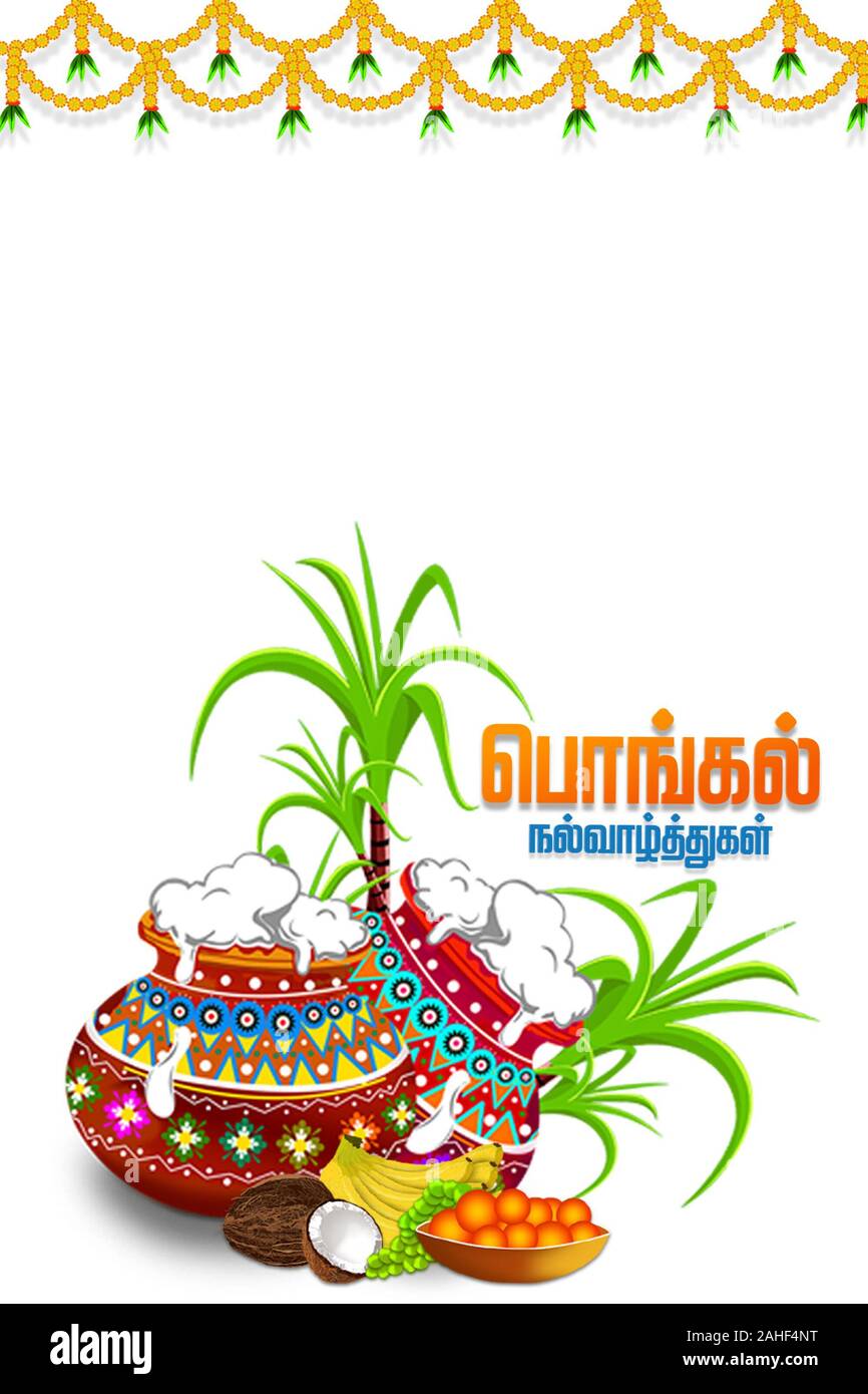 Happy pongal religious festival of south india celebration background stock photo