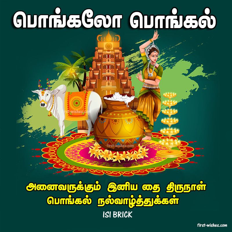 Pongalo pongal wishes greetgs tamil happy pongal happy pongal wishes tamil greetgs