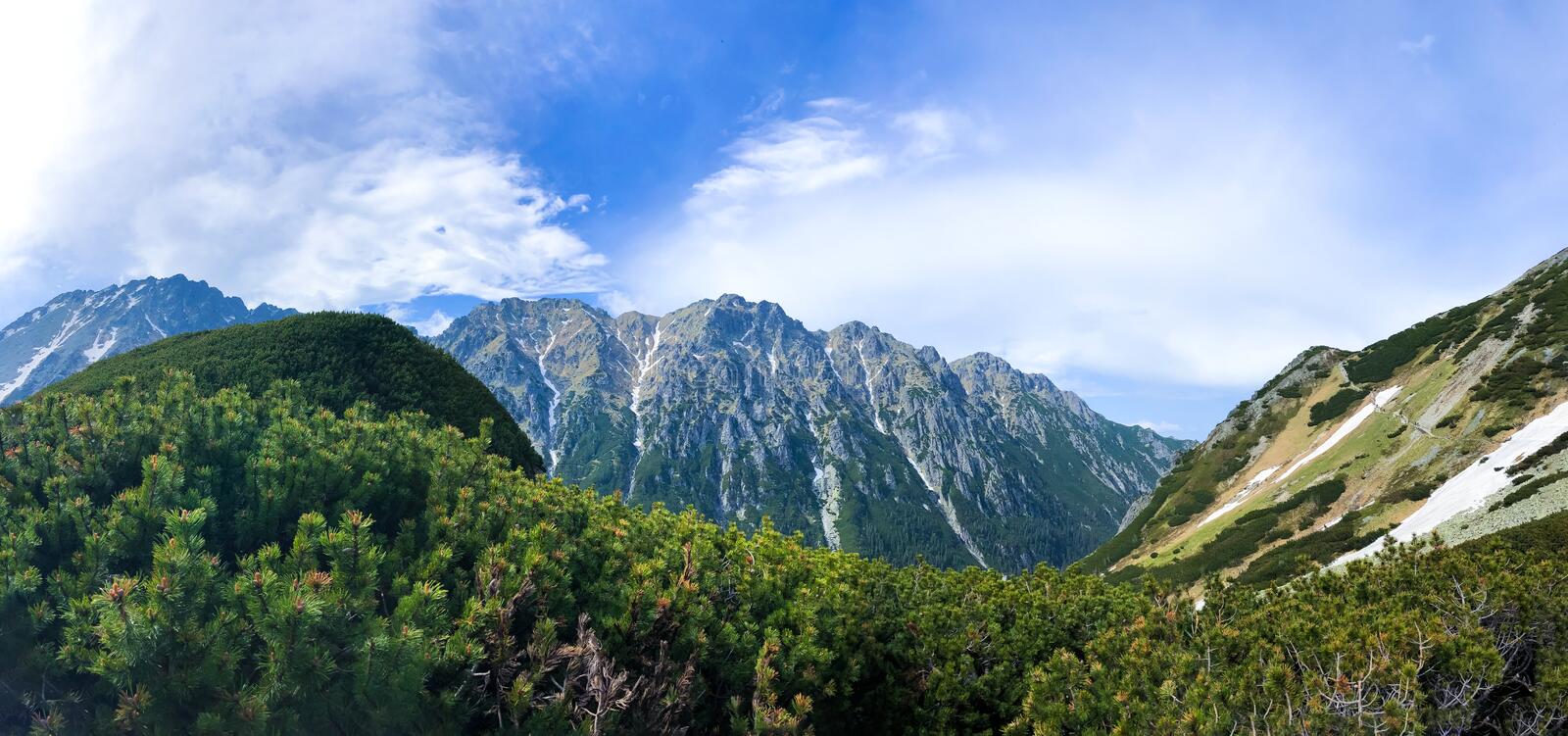 Picturesque woody terrain in the mountainscape background the tatra national park in poland stock photo