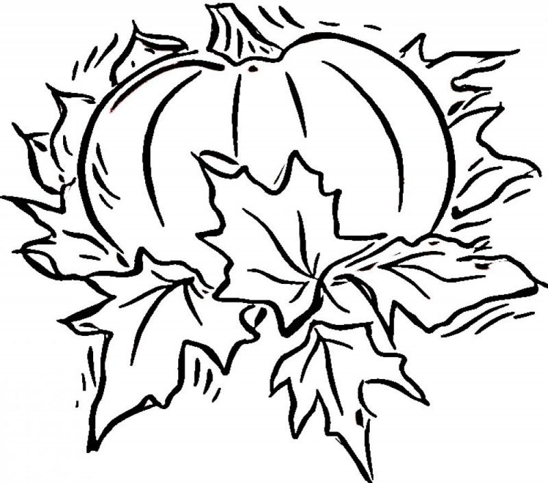 Free printable pumpkin coloring pages for kids fall coloring pages coloring pages pumpkin coloring pages