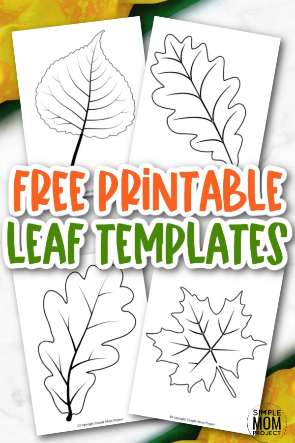 Free printable large leaf templates stencils and patterns â simple mom project