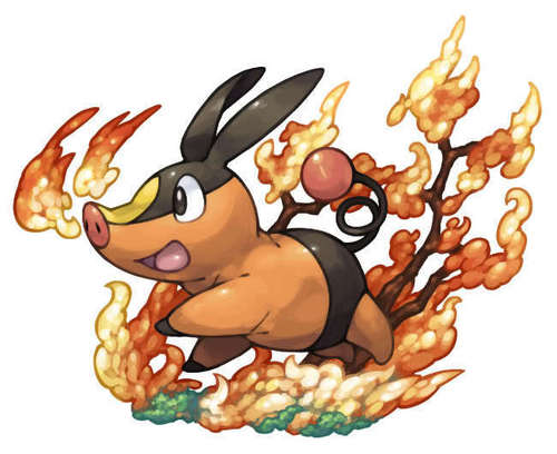 Tepig images icons wallpapers and photos on
