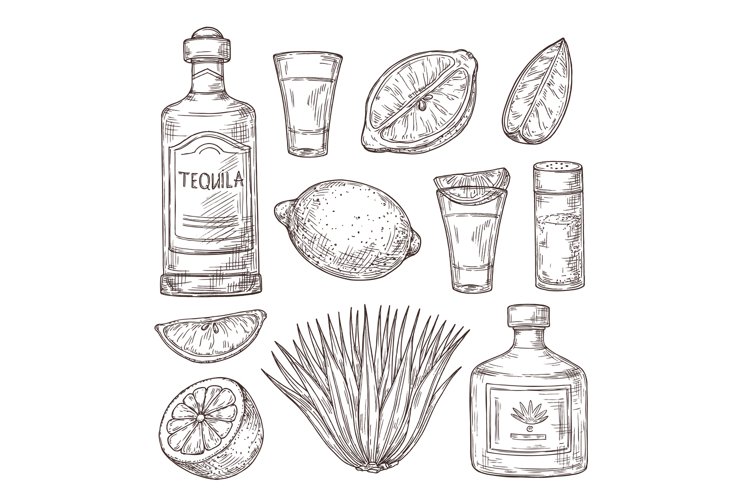 Agave tequila sketch vintage glass shot bar ingredients an