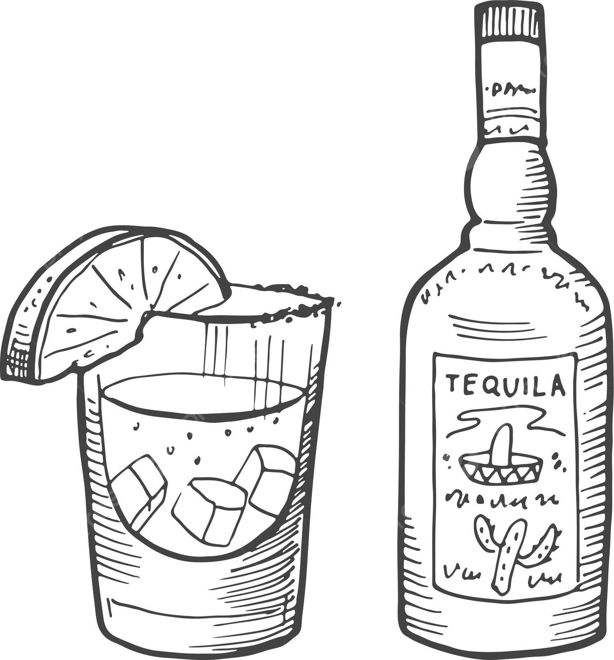 Mexican tequila engraved bottle and glassware icon of iconic alcohol vector industry contour drawing png and vector with transparent background for free download