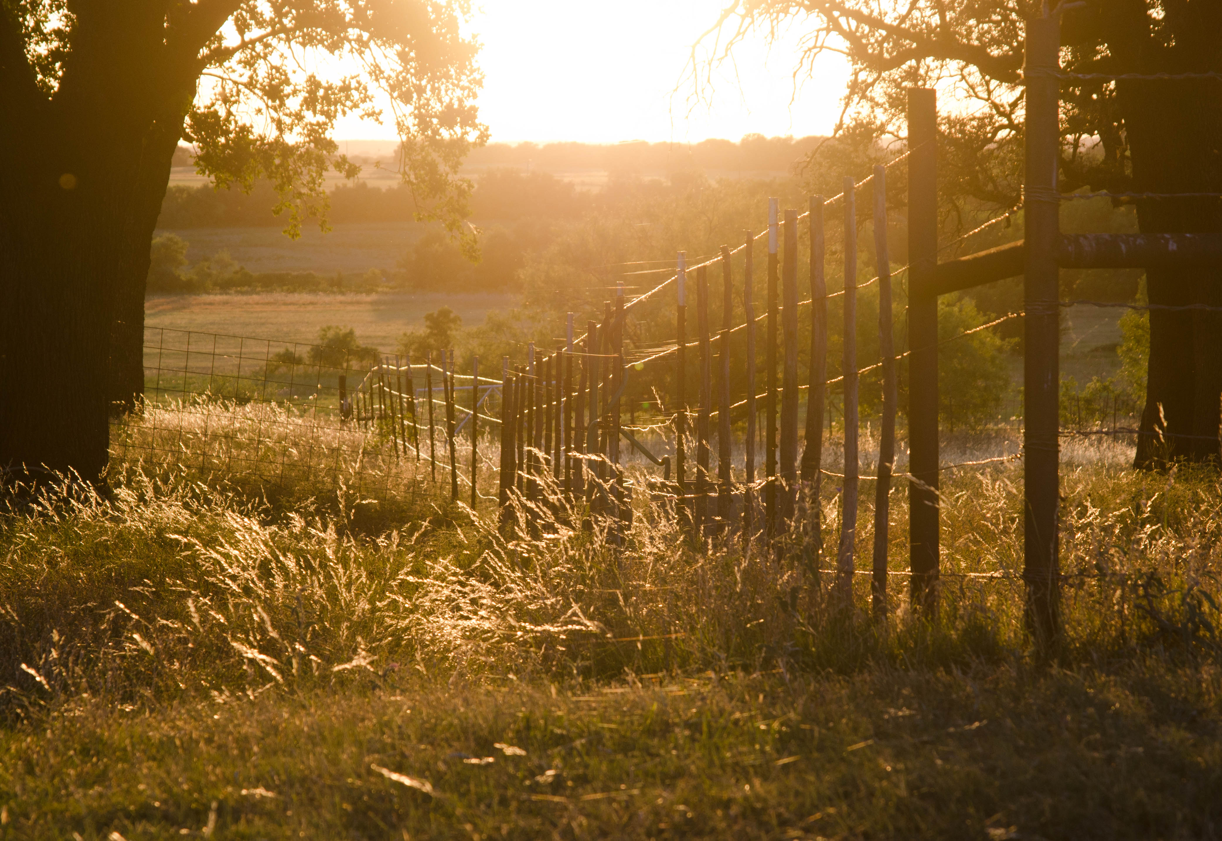 Wallpaper ranch sunset sun fence golden texas x