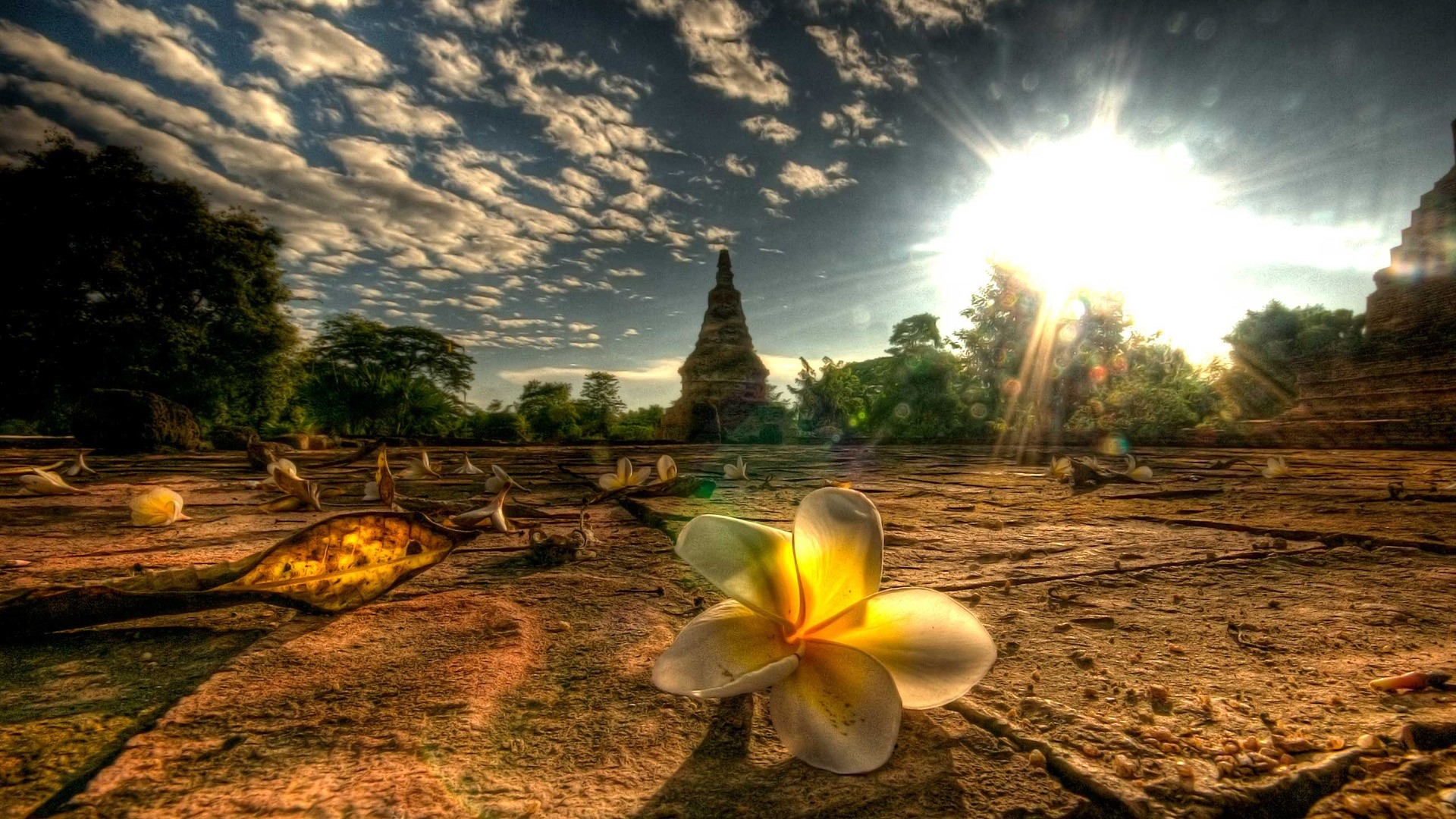 Thailand wallpapers best wallpapers