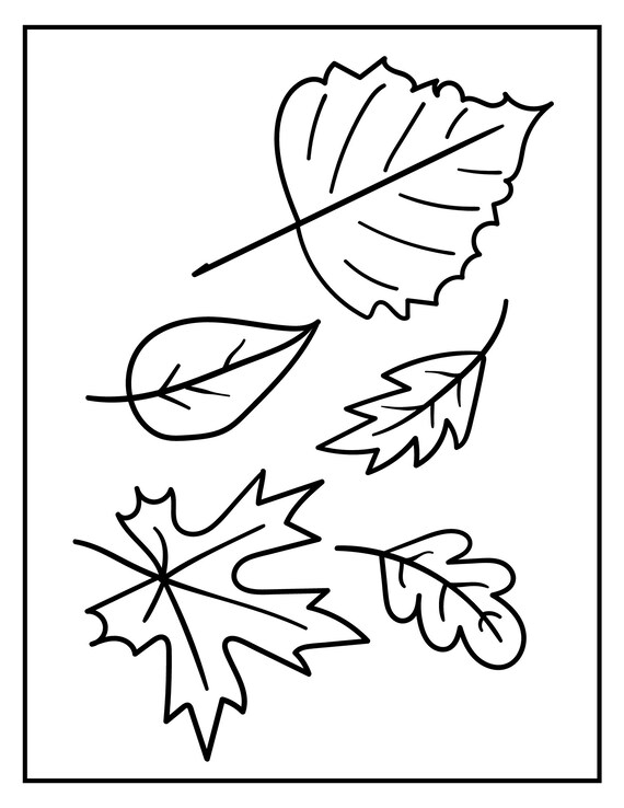 Thanksgiving coloring sheets printable easy coloring