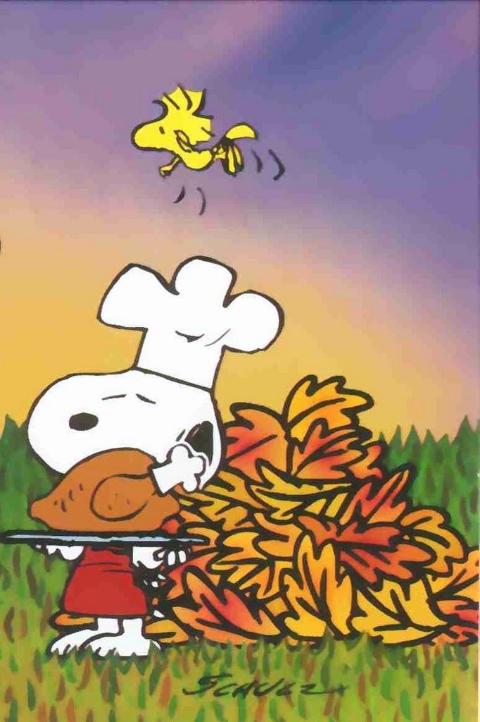 Peanuts thanksgiving wallpapers group