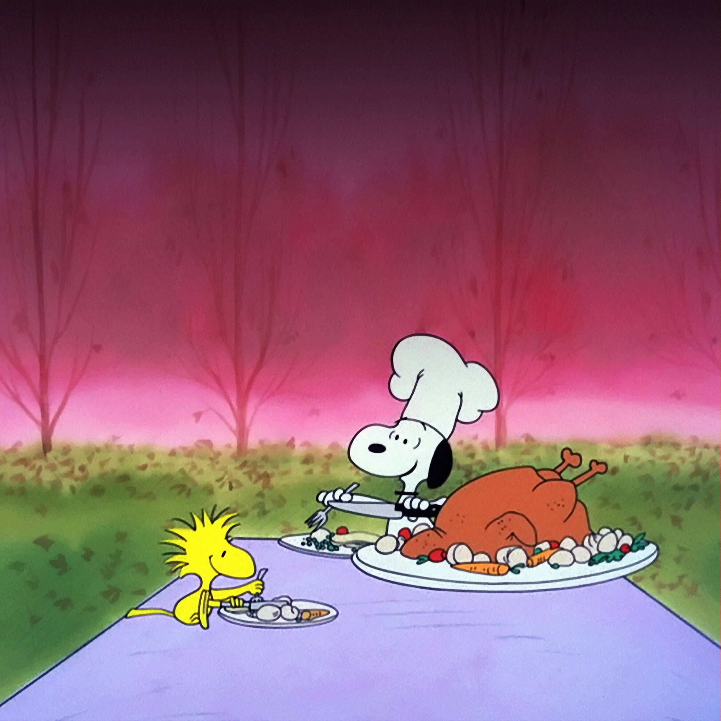 Charlie brown thanksgiving wallpapers