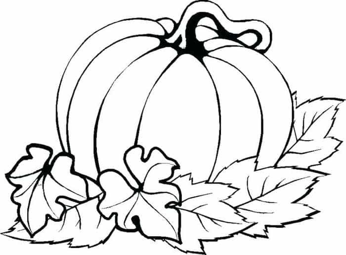 Free printable pumpkin loring pages for kids fall loring pages thanksgiving loring pages pumpkin loring pages