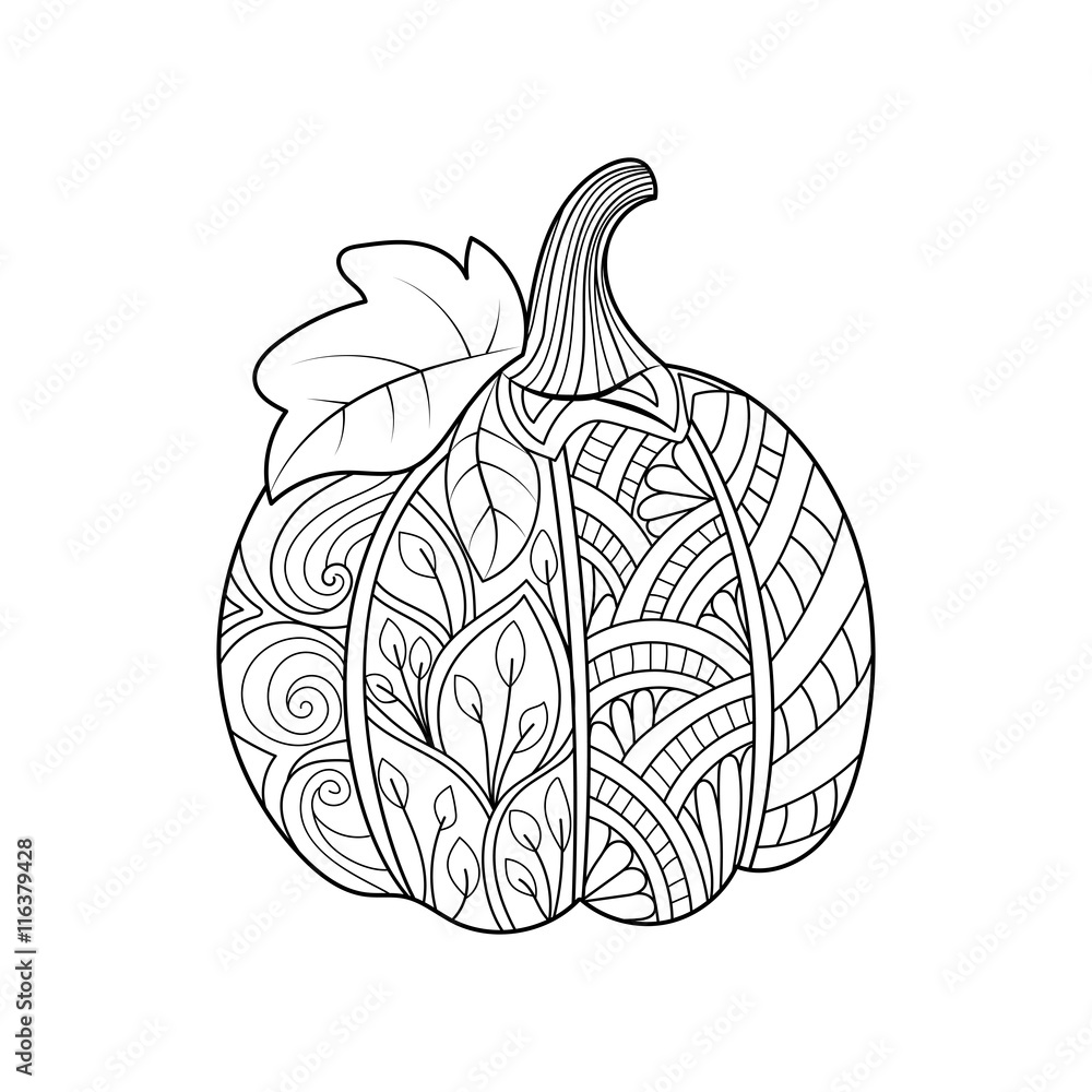 Hand drawn pumpkin for thanksgiving day halloweenhand drawn sketch for adult coloring page vector