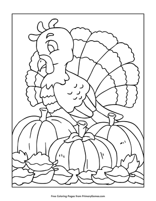 Turkey and pumpkins coloring page â free printable pdf from