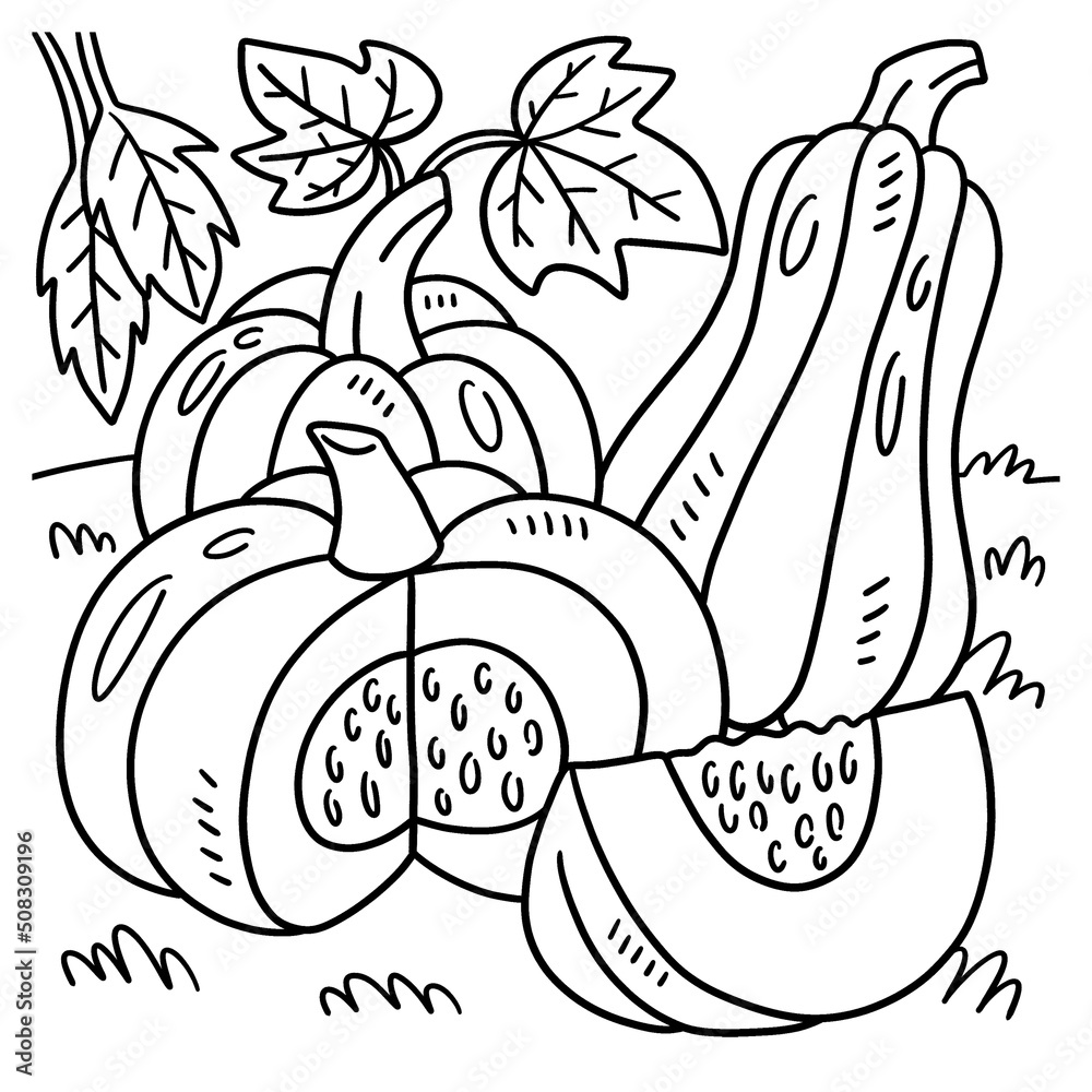 Thanksgiving pumpkin coloring page for kids vector