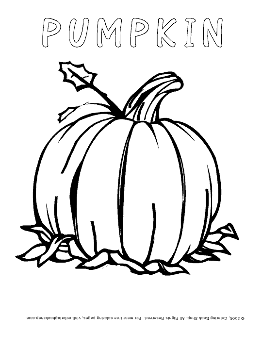 Thanksgiving printable coloring page pumpkin