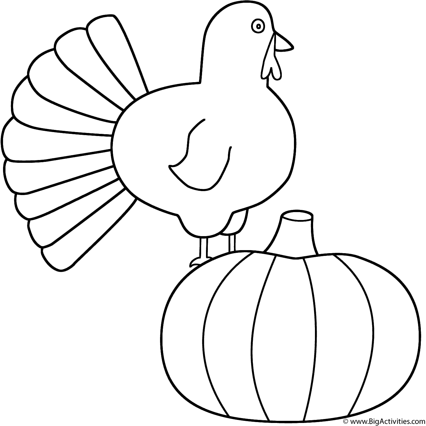 Turkey with pumpkin
